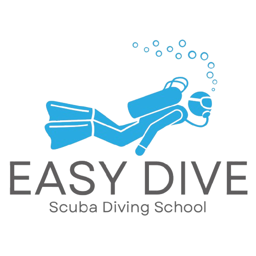 EasyDive Verwaltung